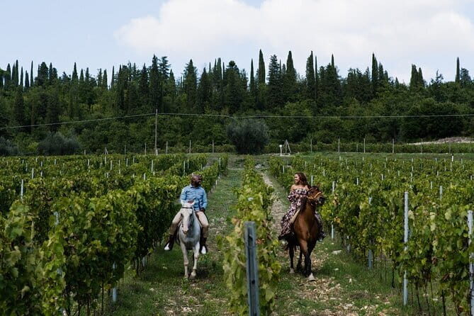 Horseback riding & Wine Tasting and snack Lunch at noble Estate - Price and value: why $356 can make sense here