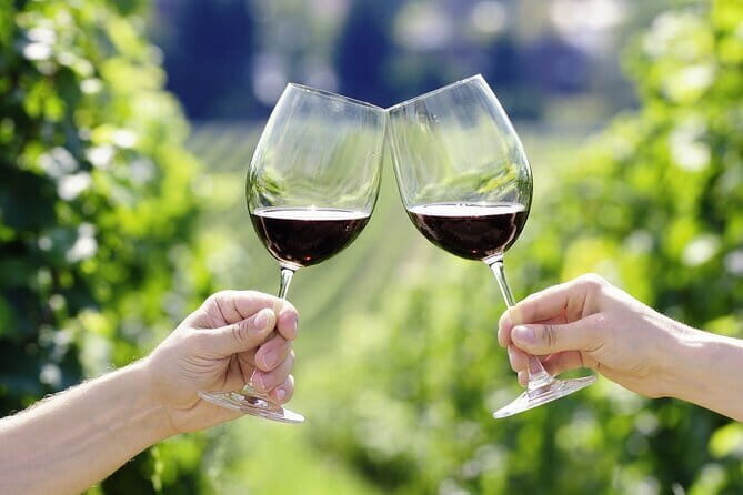 Horseback Riding with Wine Tour from Florence - Price and What You’re Really Paying For