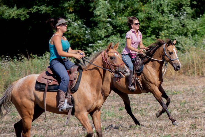 Horsemanship Experience - Key highlights worth knowing before you go