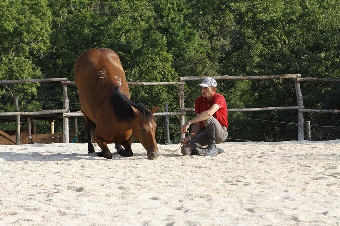 Horsemanship Experience - The trail ride around Murlo: woods, hills, paths, fields, and views