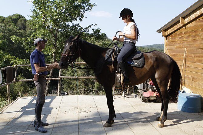 Horsemanship Experience - The arena practice: confidence-building without the pressure