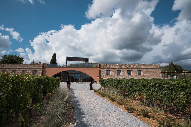 In a carriage among the vineyards, visit of the cellar, tasting of organic wines. - Quick highlights: what makes Tenuta Casadei special