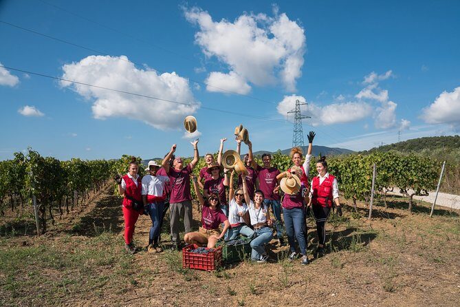 In a carriage among the vineyards, visit of the cellar, tasting of organic wines. - The wine tasting: 3 Casadei wines with local artisan bites