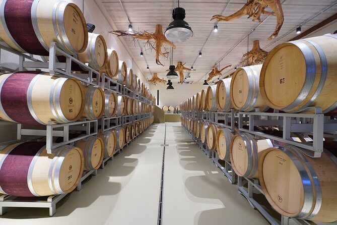 In a carriage among the vineyards, visit of the cellar, tasting of organic wines. - Food pairing: why the artisan products aren’t an afterthought