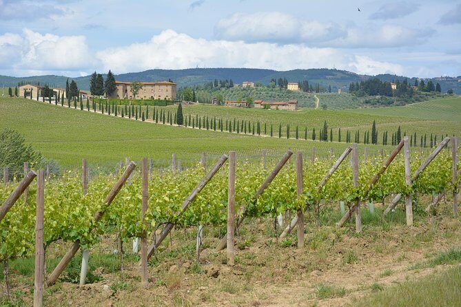 It's Wine Time! 2 wineries & farm-to-table lunch—max 8 pp - Lunch at a farm-to-table style setting