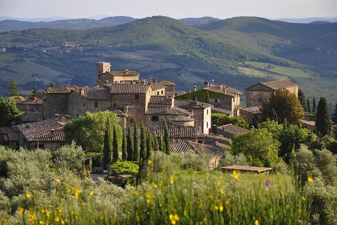 It's Wine Time! 2 wineries & farm-to-table lunch—max 8 pp - Wine shopping and shipping: taking Tuscany home