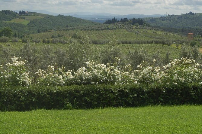 Journey through Italian Cheese - Price and value: why $46.13 can make sense in Florence