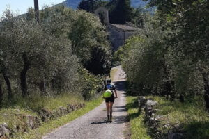 Kickbike Adventure through Florence with locals - Price and What You Get for $33.42 per Person