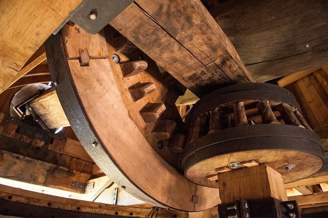 Leonardo Da Vinci's wind mill visit and Organic olive oil tasting - Stop 1: the olive grove walk and the windmill story
