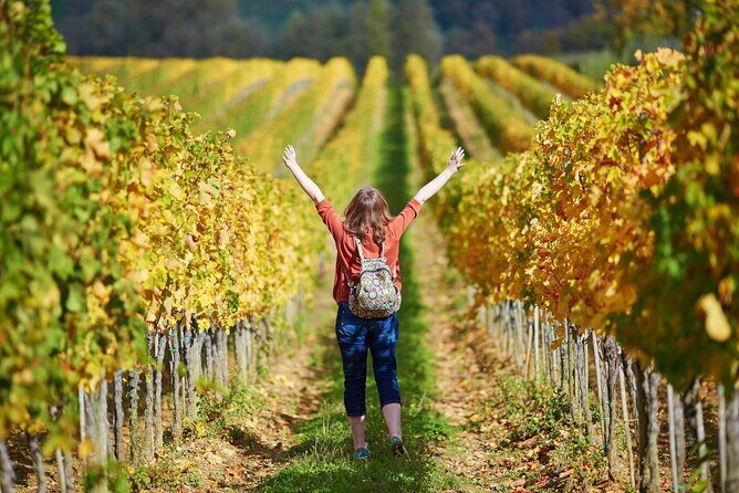 Livorno Shore Excursion: Pisa, Florence and Chianti Wine Private Day Trip - Who This Private Day Trip Suits Best