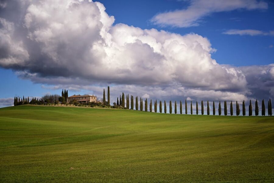 Magic Tuscany Tour - Morning vs afternoon: lunch with local tastings or pecorino aperitivo