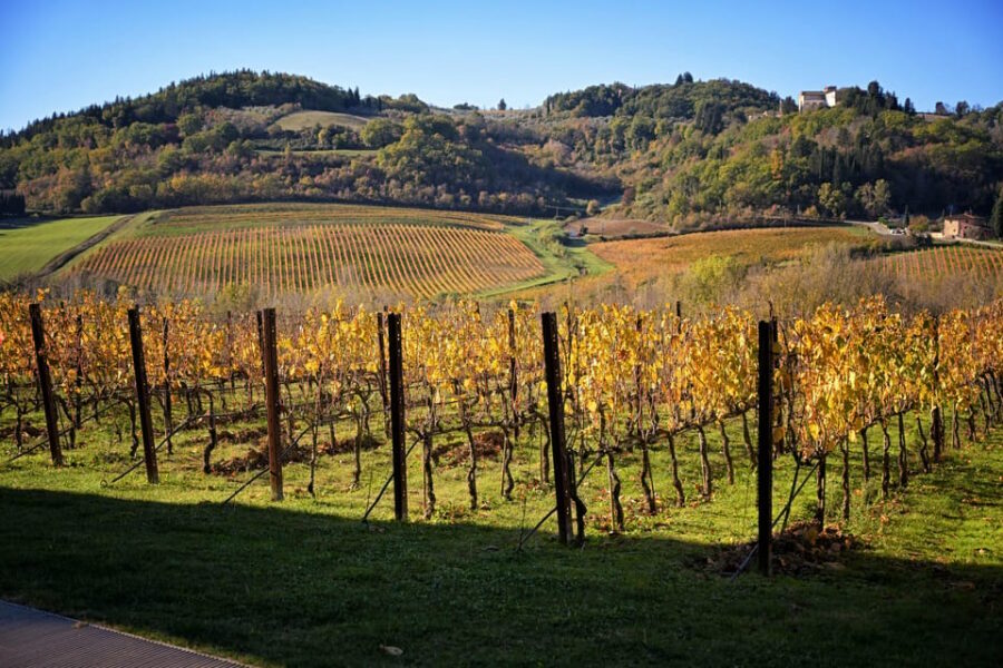 Magic Tuscany Tour - Val d’Orcia: rolling hills, cypress silhouettes, and the classic postcard angle