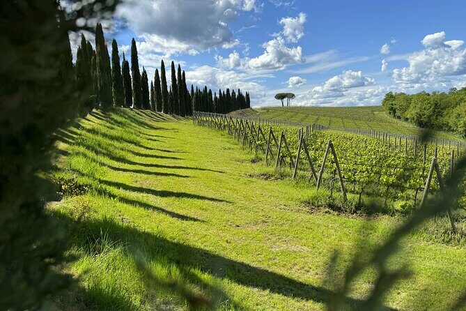MONTALCINO Private E-Bike & Brunello Winery Experience - Two Wheels Through Val d’Orcia and Montalcino Country