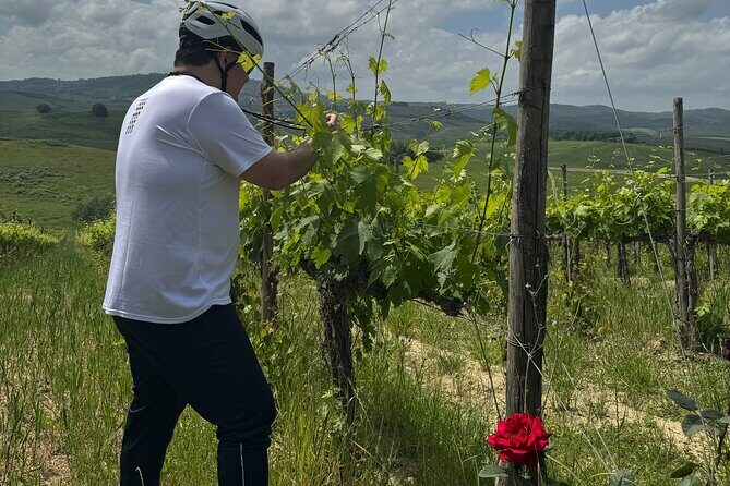 MONTALCINO Private E-Bike & Brunello Winery Experience - Should You Book the Colsereno Private E-Bike and Brunello Experience?