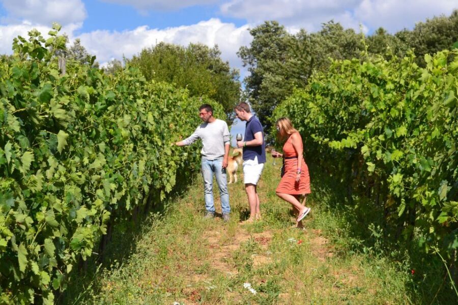 Montalcino: Small-Group Brunello Wine Tour from Florence - Small group of up to 8: why that changes your experience