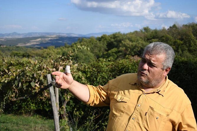 Montalcino wine tour - Food and wine pairing: the four-course lunch strategy