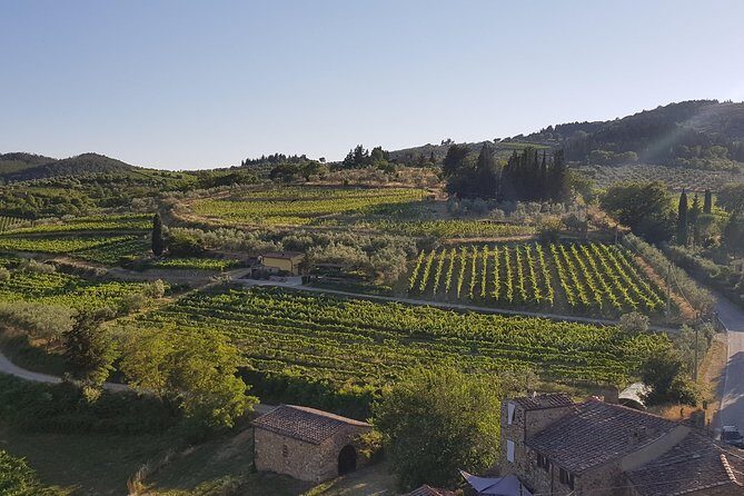 Montefioralle Winery - Tour and Wine Tasting in Chianti - Price and Logistics: What You’re Paying For (and What You Get)