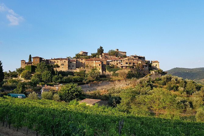 Montefioralle Winery - Tour and Wine Tasting in Chianti - Snacks and Pairing: Why the Bites Matter Here