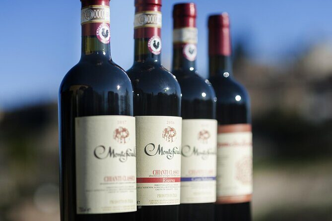 Montefioralle Winery - Tour and Wine Tasting in Chianti - Outdoors in the Vineyard: The Seasonal Setting You’ll Actually Feel