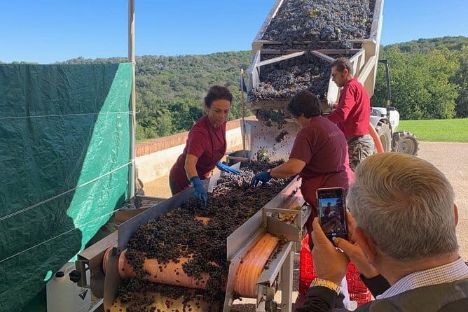 Montepulciano Pienza Montalcino Tour from Florence - Meeting up in Florence: private pickup that keeps your morning easy