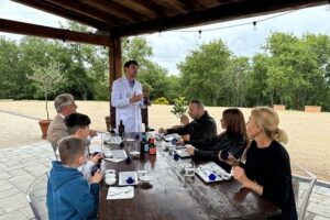 Olive Oil Tours and Tasting at Frantoio di Montalcino - Tours, Tradition, and the Production Line You Can Follow