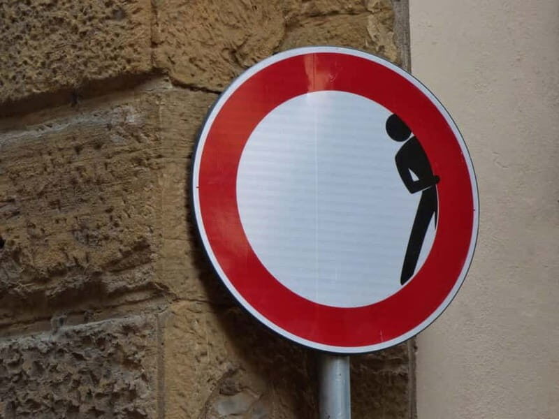 Panoramic walking tour in Florence with Vincenzo - CLET Street Art and the Modern Florence Layer
