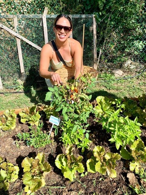 Pick Vegetables at the farm & Cook pasta - Key things you’ll remember from this Chianti cooking class