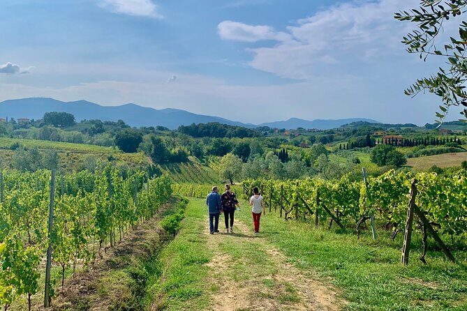 Pisa and Lucca Tour from Florence - Price and value: what you’re paying for with a private group of up to 7