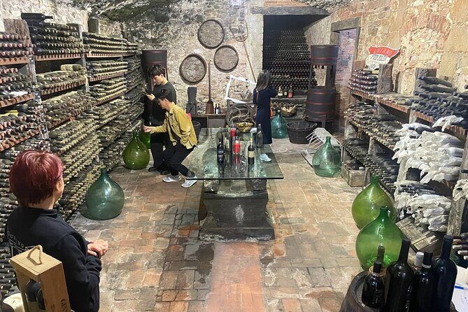 Pisa, Vinci, Tuscany, Wine tasting all in one day! - Small Group - Chianti countryside winery: wine, olive oil, and snacks that matter