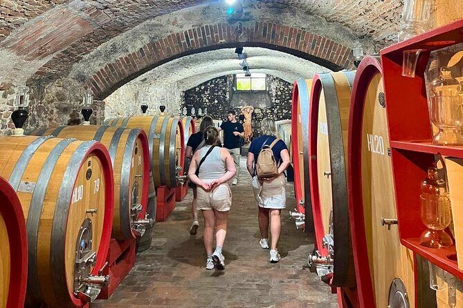 Pisa, Vinci, Tuscany, Wine tasting all in one day! - Small Group - Who this tour suits best (and who should pick something else)