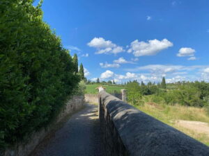 Premium Chianti E-Bike Tour, Food Wine Tasting + Photo shoot - E-bike comfort on an easy 35 km ride