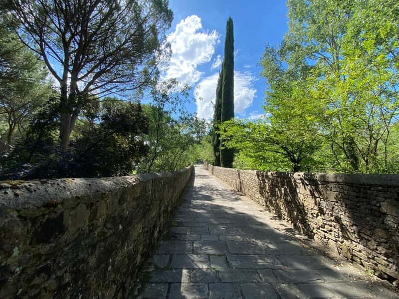 Premium Chianti E-Bike Tour, Food Wine Tasting + Photo shoot - Stop 1 to Piazzale Michelangelo: photos with a purpose