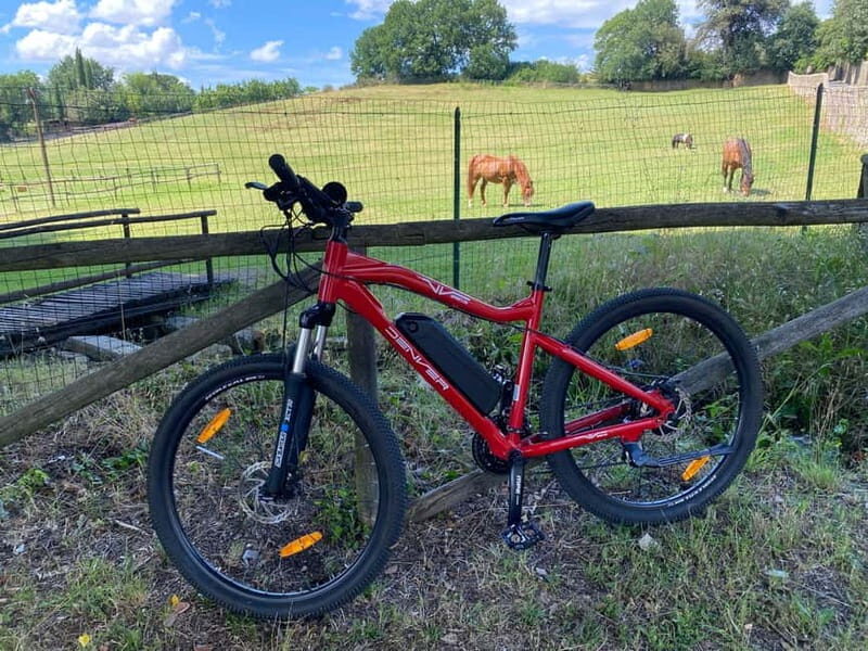 Premium Chianti E-Bike Tour, Food Wine Tasting + Photo shoot - The money question: why $133.22 can feel fair