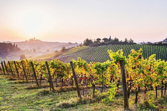 Private Best of Tuscany Hill Towns Tour with lunch from Florence - A full-day Tuscany hit without renting a car from Florence