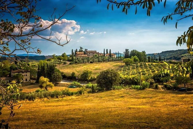 Private Carmignano Tour: The First Cabernet Sauvignon in Tuscany - Key highlights to know before you go