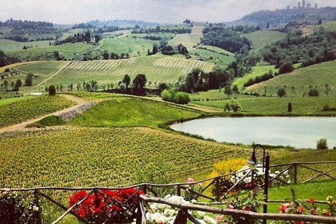 Private Chianti Classico Tour with wine and food tasting in a Historic Estate - The Half-Day Chianti Classico Break From Florence That Actually Feels Italian
