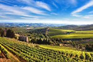 Private Chianti Classico Tour with wine and food tasting in a Historic Estate - Piazza Matteotti in Greve in Chianti: Shops, Arches, and Verrazzano Clues