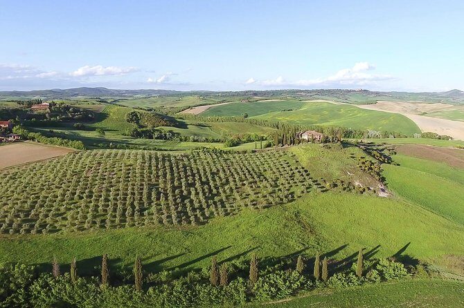 Private Chianti Classico Tour with wine and food tasting in a Historic Estate - Vineyards and Historical Cellars: What You Should Expect to See