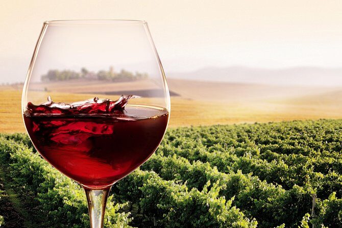 Private Chianti Classico Tour with wine and food tasting in a Historic Estate - The Tasting: Super Tuscan, Chianti Classico Riserva, and Local Snacks