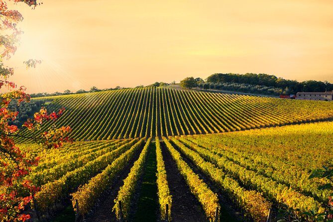 Private Chianti Classico Tour with wine and food tasting in a Historic Estate - How to Get the Best Day: Smart Choices Before You Go
