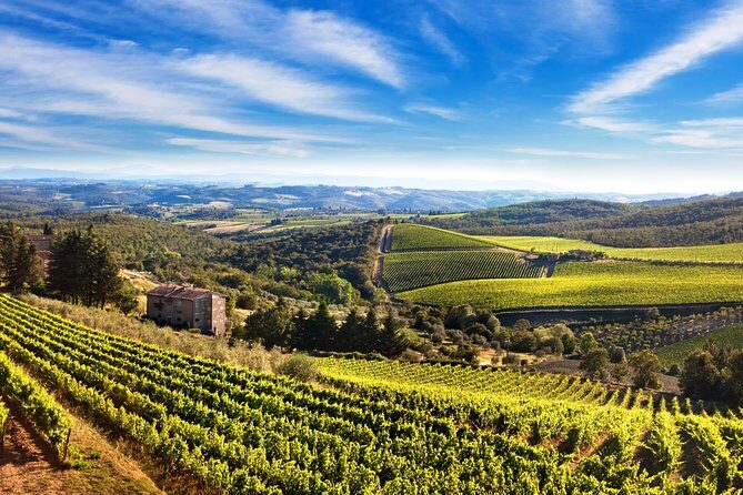 Private Chianti Classico Tour with wine and food tasting in a Historic Estate - Piazza Matteotti in Greve in Chianti: Shops, Arches, and Verrazzano Clues