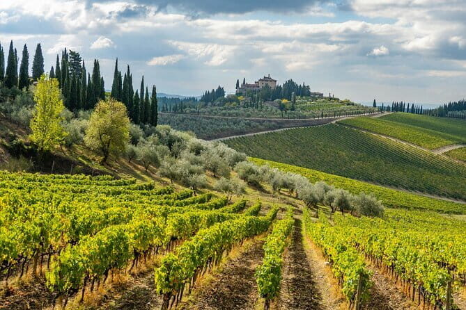 Private Chianti Safari: Off Road Tuscany Wine Tour with Lunch from Florence - Lunch and tastings: how to get the most out of the food pairings