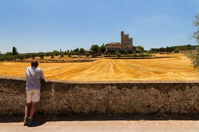 Private Chianti Tuscany Wine Tasting Tour from Florence - What’s Included (And Why It Changes the Value)