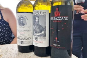 Private Chianti Wine Tasting from Florence, Half Day Experience - Greve in Chianti Agriturismo: Lunch + Views Toward San Gimignano
