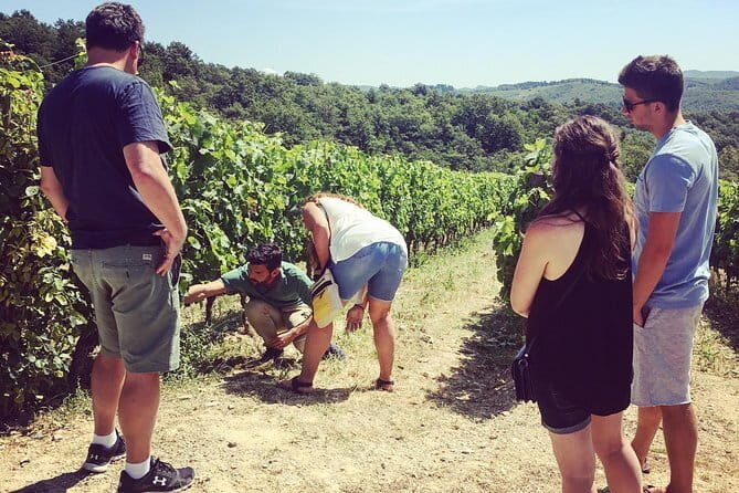 Private Chianti wine tour - Key highlights to look for