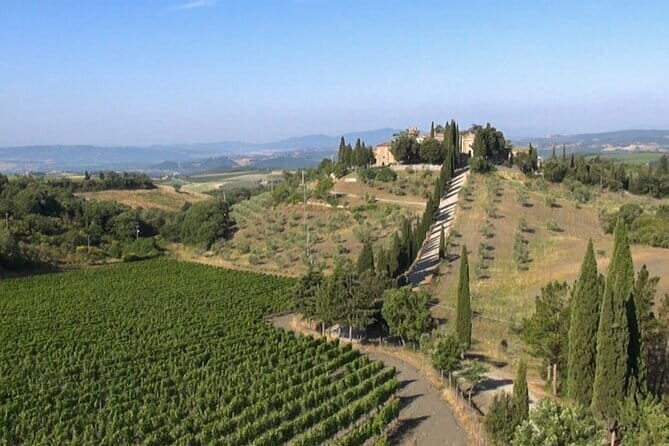 Private Chianti wine tour - Stop One at Agriturismo Rocca: Vineyard Views and a Local Tasting