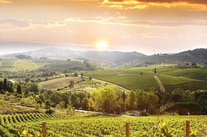 Private Chianti wine tour leaving from Florence - Start in Florence With Mercedes V-Class Comfort