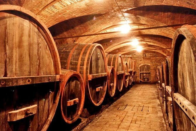 Private Chianti wine tour leaving from Florence - Panzano and the First Winery: Cellars, Vineyards, and Classic Tastings