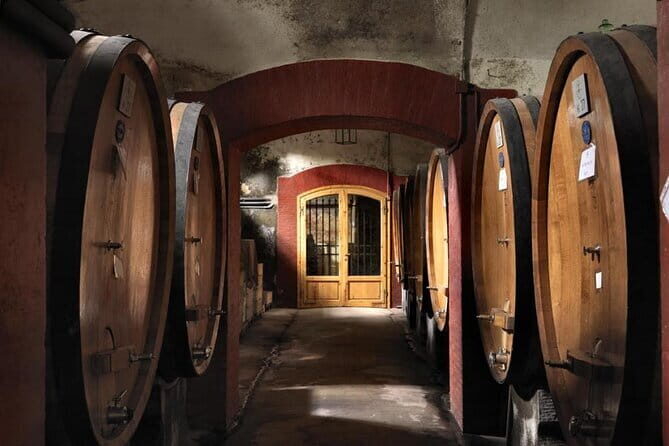 Private Chianti wine tour - Castellina in Chianti: One Hour in a Medieval Town That Feels Real