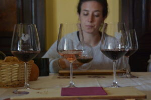 Private Chianti with Lunch Half Day from Florence - Stop 1 in Panzano in Chianti: vineyards, old cellars, and Sangiovese roots